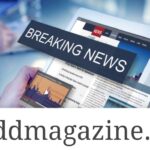 General News LogicalShout